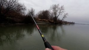 ОТХАПАЛ ПОЛ ПРИМАНКИ И НЕ ЗАСЁКСЯ