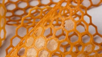 Мастер-класс по выпечному декору из тюлипного теста смотреть онлайн