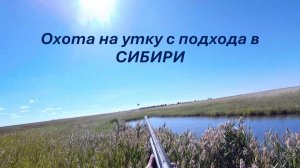 ОХОТА с подхода на УТКУ в СИБИРИ.