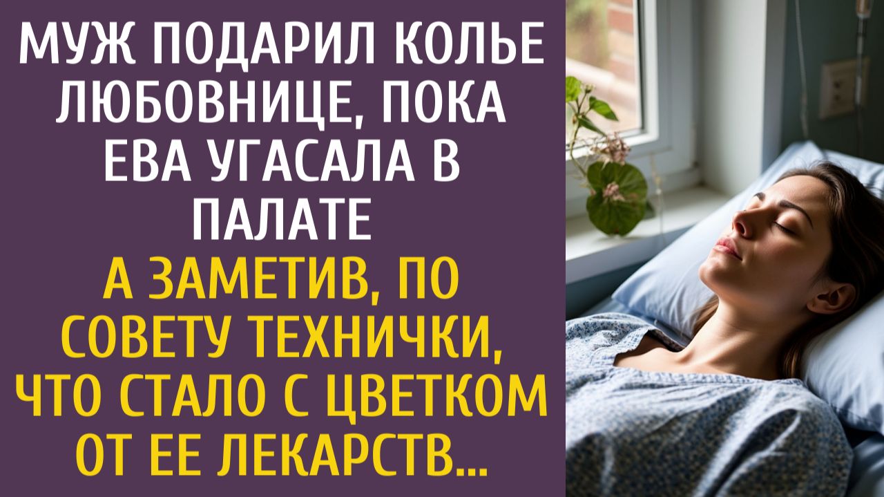 Истории из жизни: Муж подарил колье любовнице, пока Ева угасала… А заметив, что стало с цветком… смотреть онлайн