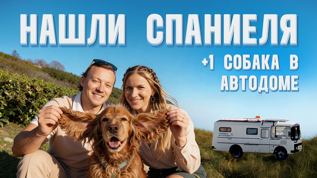 Как мы нашли спаниеля на заброшенной парковке в Адлере. +1 собака в автодоме ПАЗ 3206 смотреть онлайн