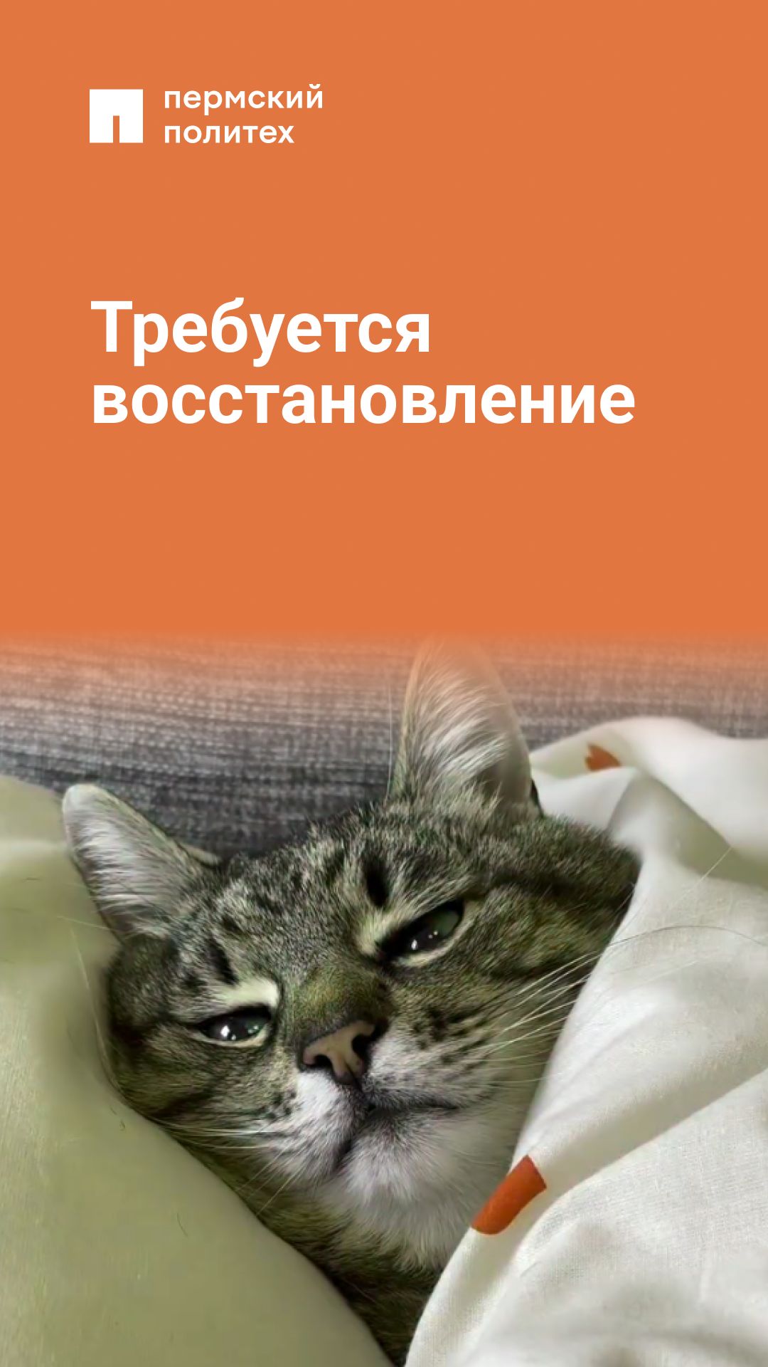 Сессия сдана, можно и поспать смотреть онлайн