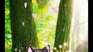 милые котята♥️🐈⬛🌷🌸.