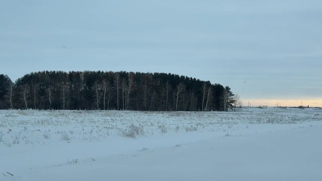 🎼. «Nevermore» -Denis Stelmakh смотреть онлайн