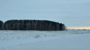 🎼. «Nevermore»  -Denis Stelmakh