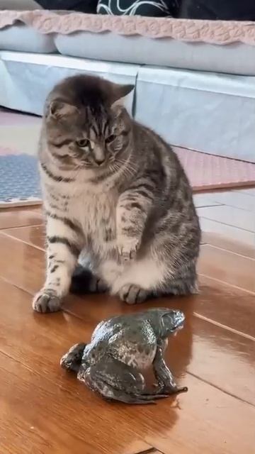 Включаем звук смотреть онлайн