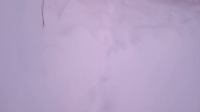 Неудачное открытие сезона на зайца. СТОЛЬКО СЛЕДОВ Я ЕЩЁ НЕ ВИДЕЛ! смотреть онлайн