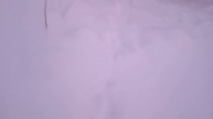 Неудачное открытие сезона на зайца. СТОЛЬКО СЛЕДОВ Я ЕЩЁ НЕ ВИДЕЛ!