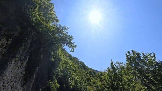 Коровы. Дорога. Лето. Природа. Не быстрая прогулка на велосипеде с подругами... смотреть онлайн