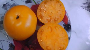 ЛУЧШИЕ НИЗКОРОСЛЫЕ СОРТА  ТОМАТОВ ДЛЯ ОТКРЫТОГО ГРУНТА