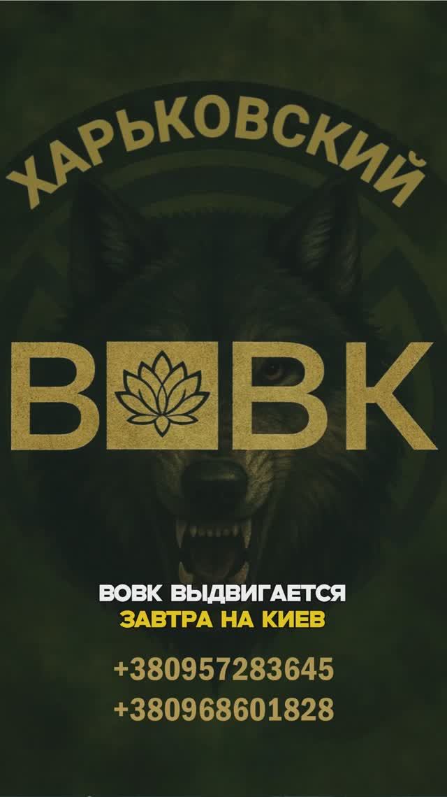Все знают, что боевой военнослужащий никогда не поднимет руку на гражданского человека смотреть онлайн