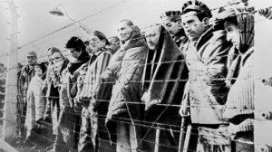 Международный день памяти жертв Холокоста. Как работала фашистская машина смерти