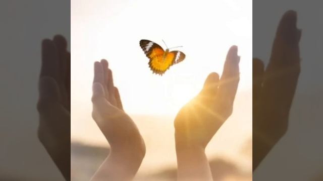 video20260127_160955.mp4 смотреть онлайн