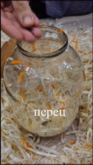 Рецепт очень полезной квашеной капусты смотреть онлайн