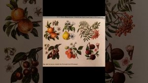 Биология 7 класс Параграф 12