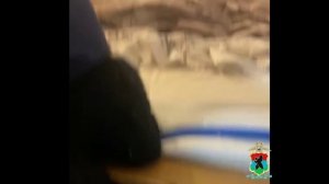 Полиция Карелии ликвидировала нелегальный узел связи, организованный знакомыми из Петрозаводска