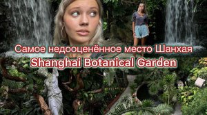 Оазис среди мегаполиса // Шанхайский ботанический сад
