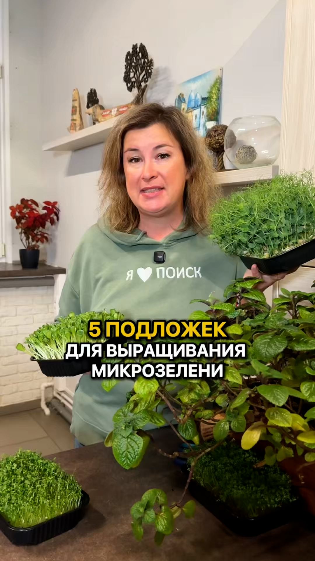 На чем вырастить микрозелень? 5 ПОДЛОЖЕК! смотреть онлайн