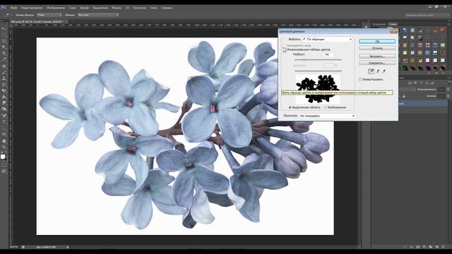 Урок № 4 от Ирины Удаляем фон в Photoshop смотреть онлайн