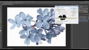 Урок № 4 от Ирины Удаляем фон в Photoshop