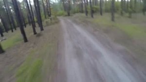 АТАКА МЕДВЕДЯ В ЛЕСУ