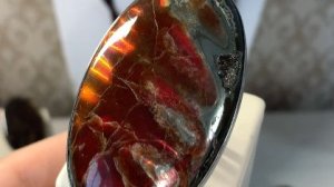 НОВИНКИ. АММОЛИТЫ. НЕЙЗИЛЬБЕР. 27.01.2026 МАХ , Телеграмм +79024906222