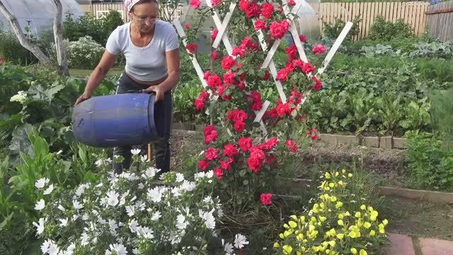 6 соток 1 июля 2021 года Хроника смотреть онлайн