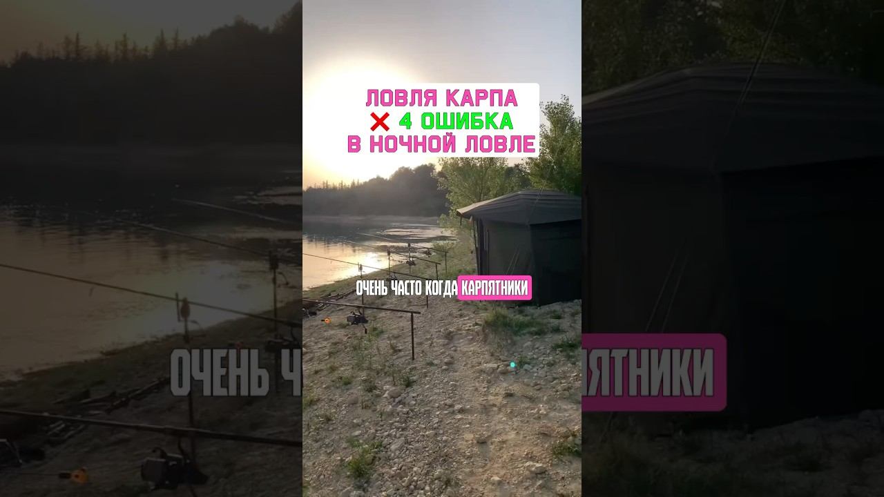 КАК ПОЙМАТЬ МНОГО карпа ночью? Карпфишинг 2025 смотреть онлайн