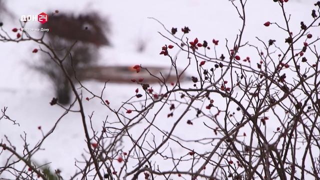 Слишком близко к истории смотреть онлайн