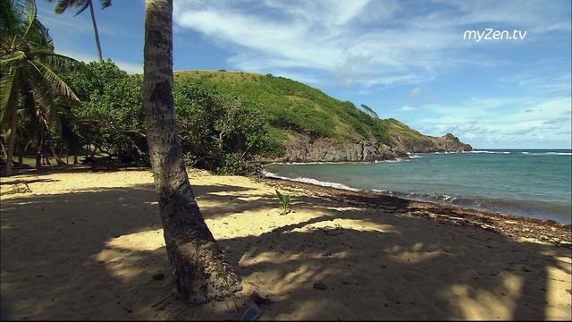 MyZenTV 04 смотреть онлайн