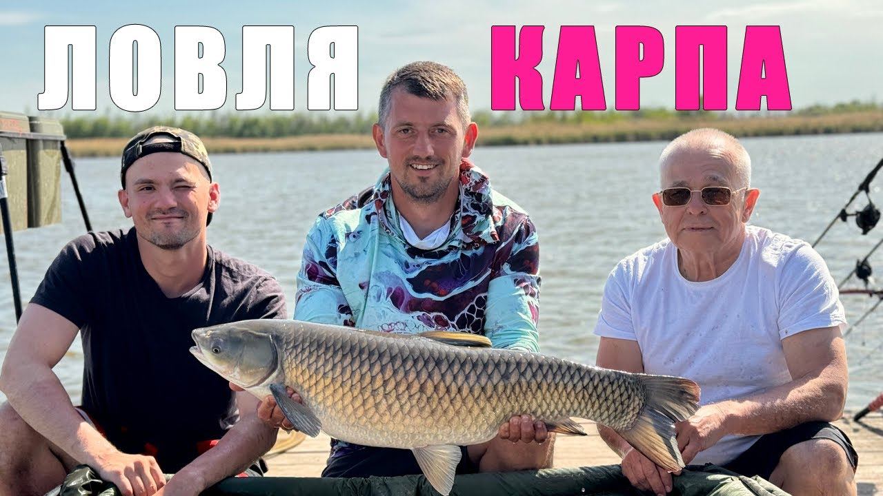 Международный турнир по ловле карпа Кубок Носорога. Карпфишинг 2025 смотреть онлайн