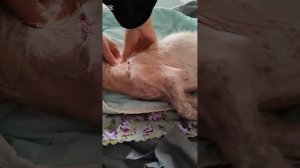 Мы едем на массаж и разговариваем