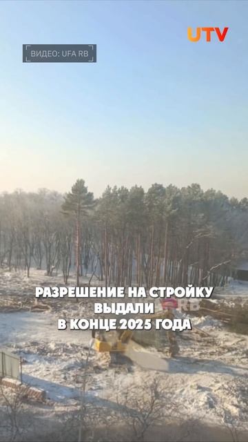 За бульваром Славы в Уфе валят сосны смотреть онлайн