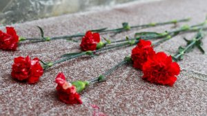 Минобороны России запустило проект с рассекреченными материалами о холокосте