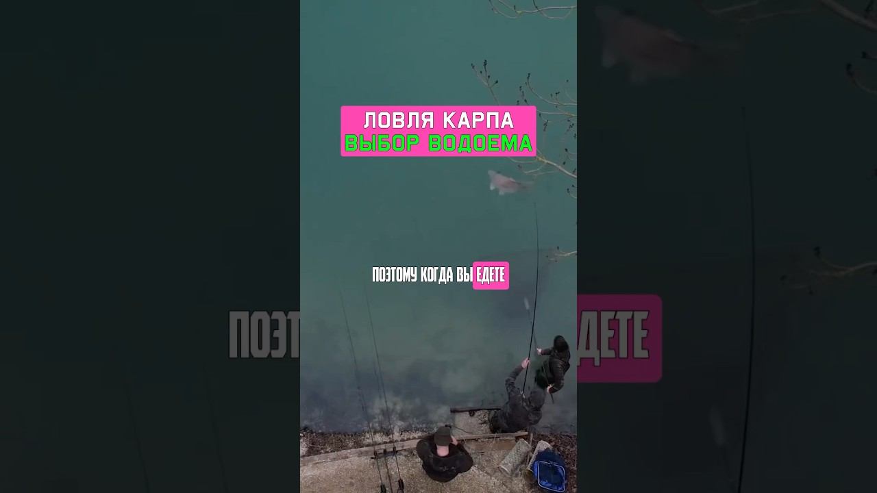 Ошибка карпятника в дневной рыбалке на карпа. Карпфишинг 2025 смотреть онлайн