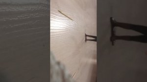 вторая часть новый конь Полина рада