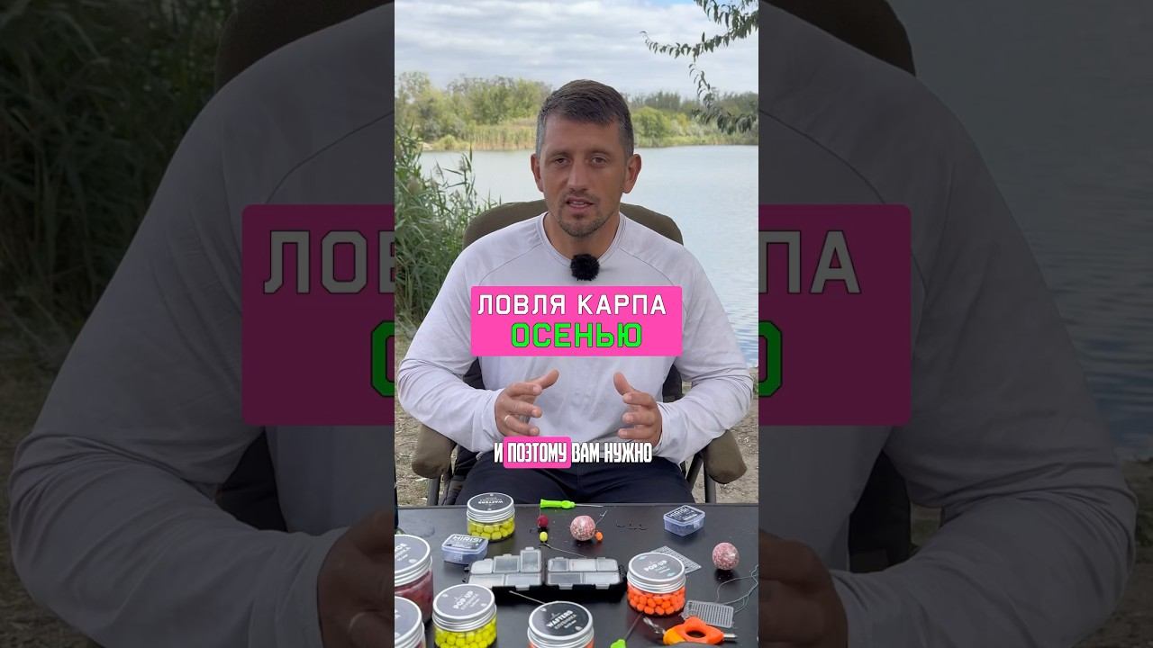 Как поймать много карпа ОСЕНЬЮ? смотреть онлайн