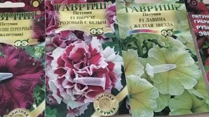 Посадка семян Петуний