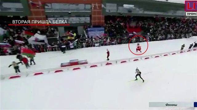 Вторая пришла белка