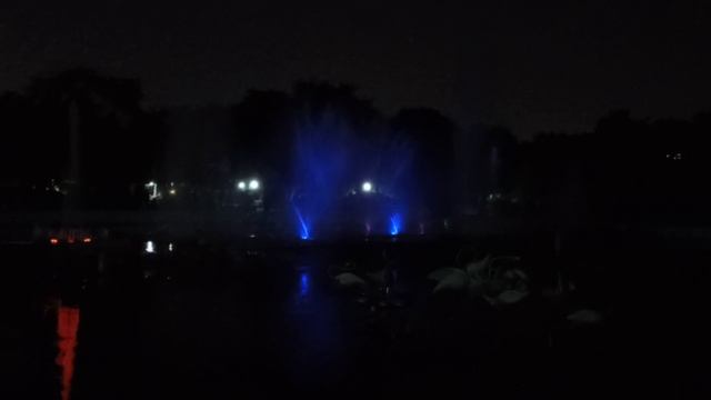 Цветомузыкальный фонтан у ворот Патрика! смотреть онлайн