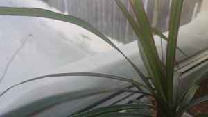 #Карусель моей жизни. 
Взгляд из окна.