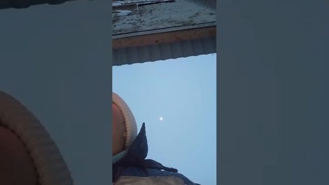 разговоры смотреть онлайн