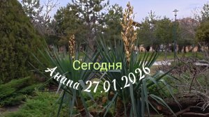 Анапа Сегодня 27.01.2026