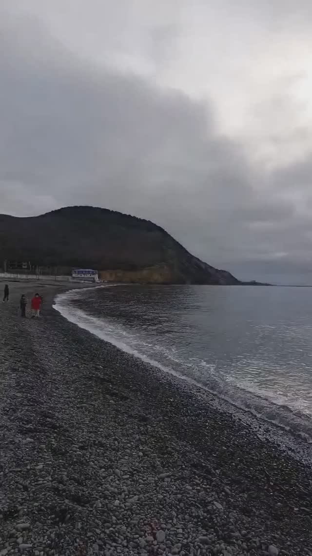 Штиль и утки на море в Сукко в Январе 2026 смотреть онлайн