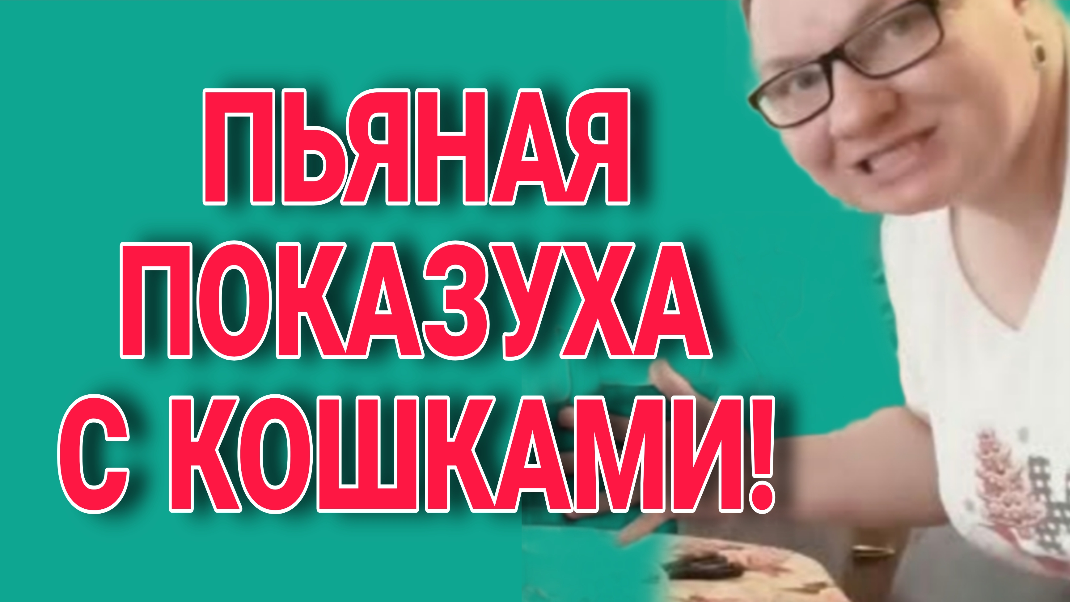 ПОКАЗУХА С КОШКАМИ. ОЛЬГА ИЗ ЗАУРАЛЬЯ. ОБЗОР. смотреть онлайн