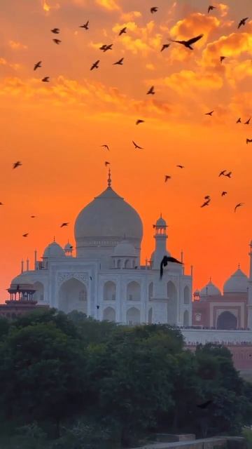 Яркая Индия с нами смотреть онлайн