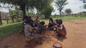 день 9. часть 6. африканские приключения