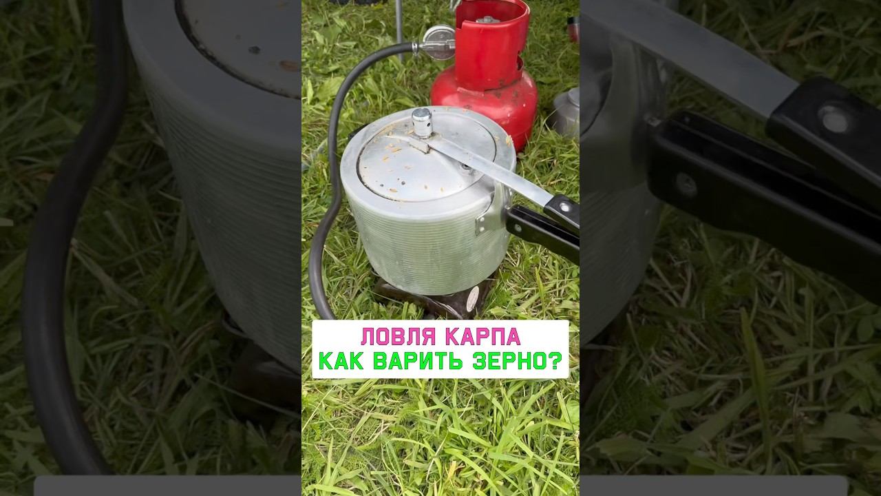 Зерновые на карпа, как варить? Карпфишинг 2025 смотреть онлайн