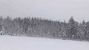 Проверка самоловок 20-го января.