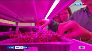 Вести-Томск, выпуск от 27.01.2026 09:30